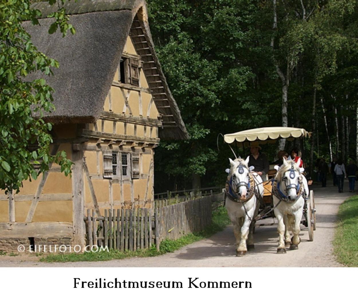 Ferienwohnung Gross A Schleiden Exterior photo